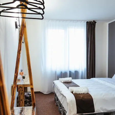 Hotel Casa Rosu *
